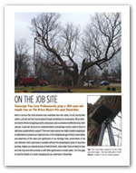 treepropping_cover_thumb_shadow