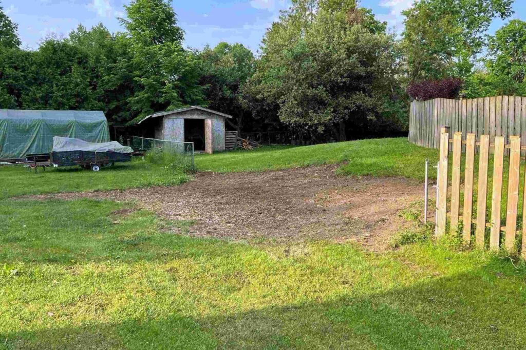 after stump grinding After our stump grinding crew