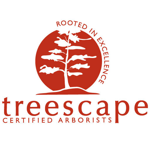 Treescape Logo Horse Boarding Facility In Mn,modern Or Classy Mix Of
