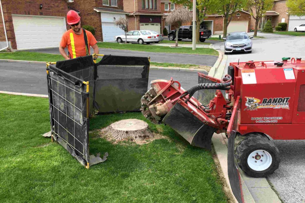 stump grinding service Stump grinder removing stump from front yard
